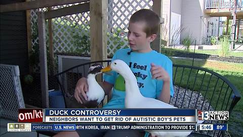 Autistic boy may have to get rid of ducks