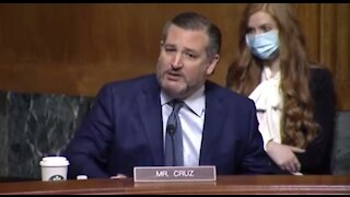 Ted Cruz Goes on EPIC RANT Against Gun-Grabbing Senators