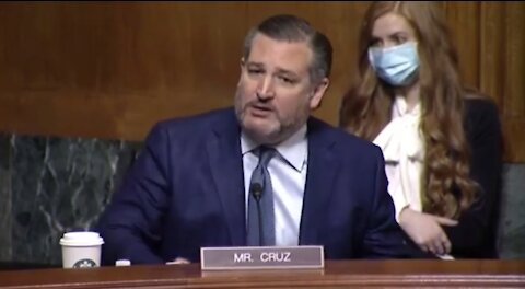 Ted Cruz Goes on EPIC RANT Against Gun-Grabbing Senators