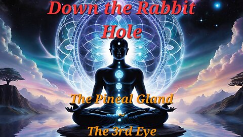 down the rabbit hole