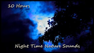 10 Hours - Night Time Nature Sounds (Katydids and Crickets)