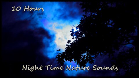 10 Hours - Night Time Nature Sounds (Katydids and Crickets)