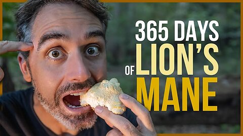Unlocking the Secrets of Lion's Mane Mushrooms! The Science Explained...