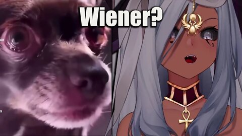 I Know You Like Wieners | Trickywi