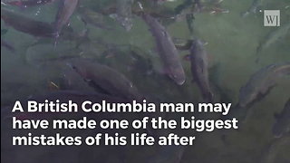 This Man Cooked Massive “Trout”… Afterward Biologist Gave Him Bizarre News