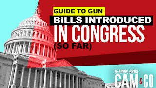 Your Guide To The Gun Bills Introduced In Congress (So Far)