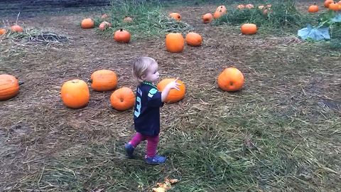 Little Girl Loves Her Pumpkin And All It's Flaws