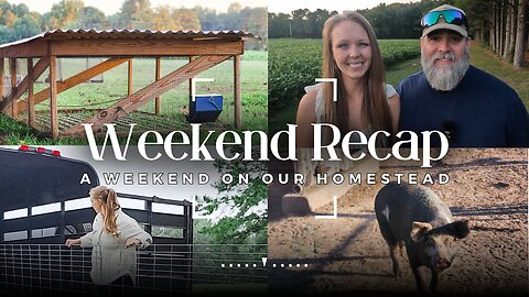 Building A Homestead From The Ground Up - Weekend Recap Ep 1