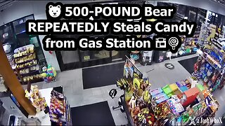 🐻 500-POUND Bear REPEATEDLY Steals Candy from Gas Station 🏪🍭🤣👇