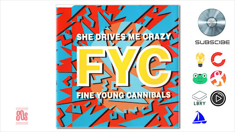 Fine Young Cannibals - She Drives Me Crazy (1988)