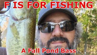 A Fall Pond Bass