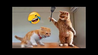 Funniest Animal Videos 2023 - Best Funny Dogs And Cats Videos #6