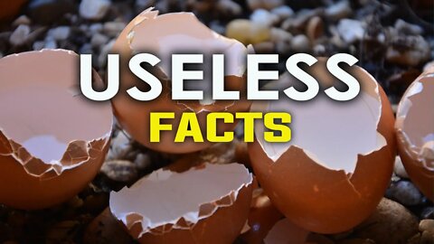 30 USELESS FACTS YOU MIGHT NOT NOTICED - HD | FACTS | TRIVIALS
