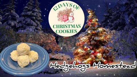 Snowball Cookies with walnuts: The perfect Christmas treat! #12daysofchristmas22