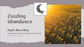 Creating Abundance