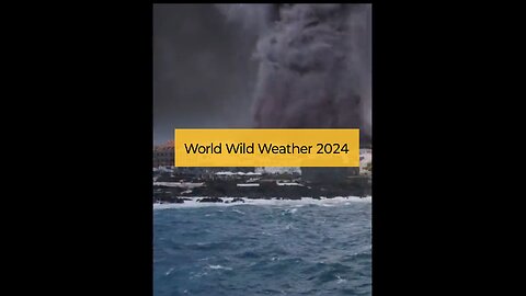 World Wild Weather 2024