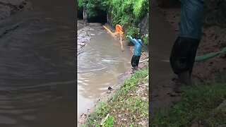 Fastest way of net fishing 🎏 #fishing #riverfish #fishlovers #fish #fishstory #carpfishing