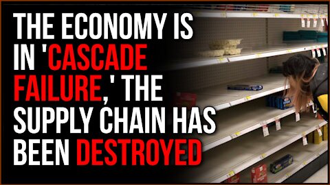 Economy Is In Economic Cascade Failure, The Chain Of Supply Is DESTROYED