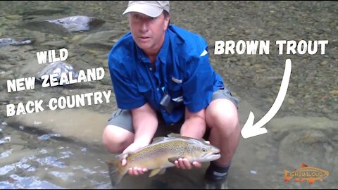 Fly Fishing New Zealand Back Country Brown Trout on the fly