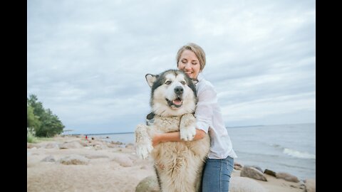 Couple Playing with Their Pet Dog