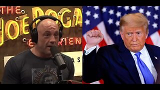 Will Joe Rogan Consider Having Donald Trump On The Joe Rogan Podcast?