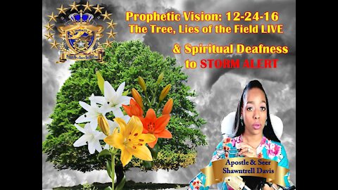 Vision 12-24-16 The Tree Lilies Alive STORM WARNING spiritual Deafness