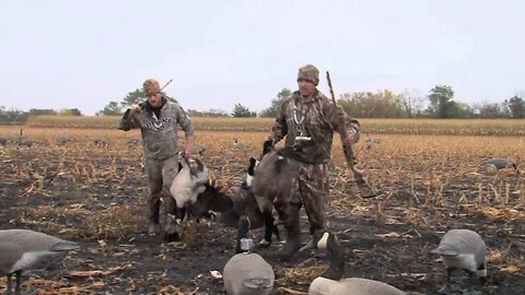 MidWest Outdoors TV Show #1542 - Goose hunting in Minnesota with the Beavertail Crew.