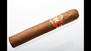 C and C Corojo Robusto Cigar Review