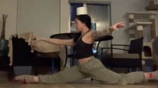 Contortionist splits difference between winning and losing toilet paper challenge