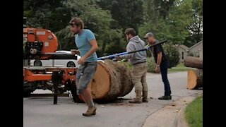 Milling Giant Oak Logs, How To Get Your Own Lumber