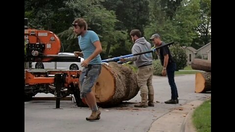 Milling Giant Oak Logs, How To Get Your Own Lumber