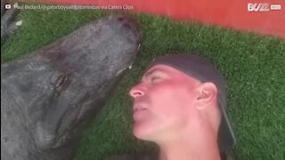 Un soigneur se détend près d'un alligator en pleine sieste