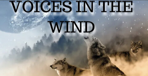 Voices In The Wind Meditation,Zen ,Relax