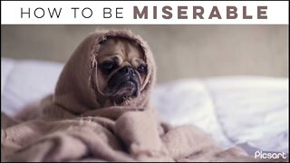 How To Be Miserable?😬 #shortvideo