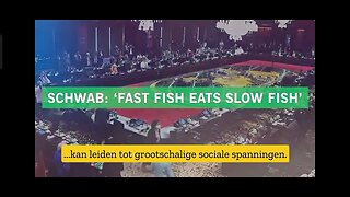 Klaus Schwab: "De snelle vis eet de langzame vis op"