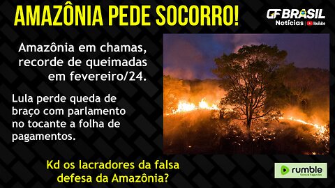 Lula perde mais uma para o congresso nacional. Amazônia em chamas e silêncio mundial!