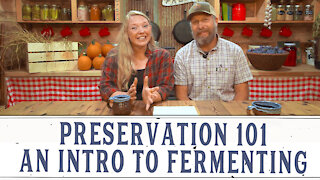Introduction to Fermenting - Preservation 101