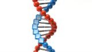 DNA's "Secret" Code