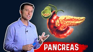 The Function Of Pancreas & Pancreatitis – Dr. Berg on Pancreatic Insufficiency
