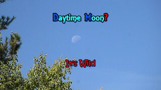 Daytime Moon?