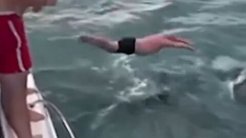 Whoa! Kooky Man Body Slams Orca With Baby And Miraculously Lives To Tell The Story And Pay The Fine