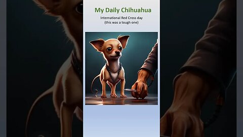 Chihuahua salutes International Red Cross Day. #shorts