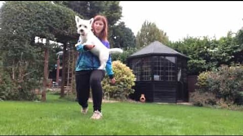 Louby, la cagnolina che adora le acrobazie