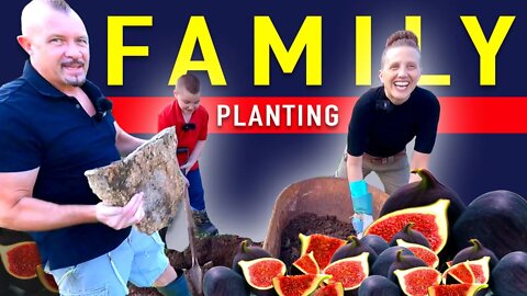 Plant a FAST Growing Fruit Tree Eat Figs The 1st Year