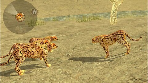 Wild Cheeta Sim - Prey With Family 3D Android Gameplay #003