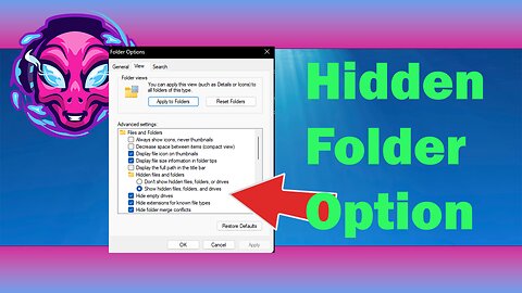 How To Enable Hidden Folders On Windows 11 | RazKid