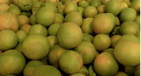 Gov. Ron DeSantis announces new effort to boost Indian River County citrus industry
