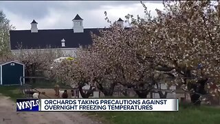 Orchards taking precautions against overnight freezing temperatures