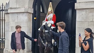 Hands on the reins #horseguardsparade