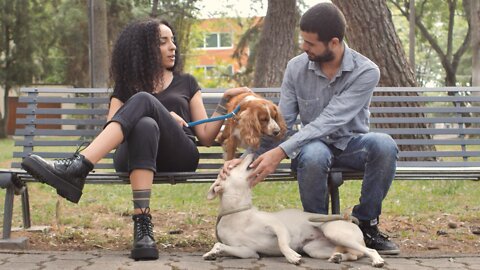 Couple with dogs resting on park bench